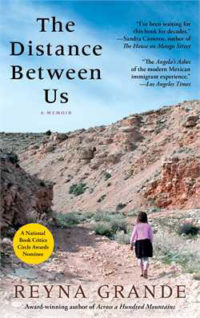 graphic - Cover photo for The Distance Between Us