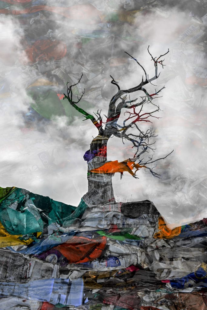 artwork of old tree with collage overlay