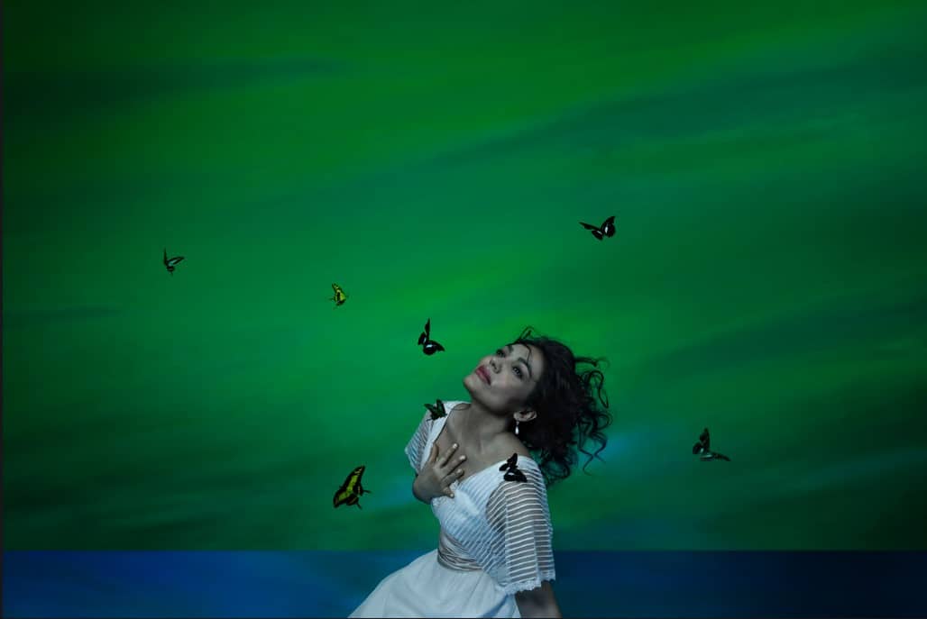 Decorative image of woman on green background with butterflies.